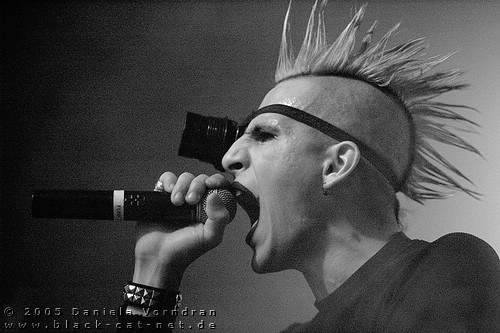 2005-03-10090_klein.jpg