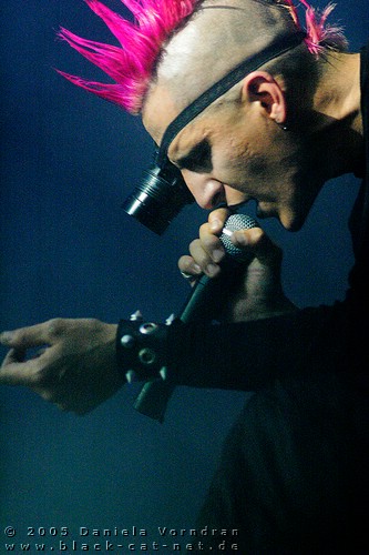 2005-03-10132_klein.jpg