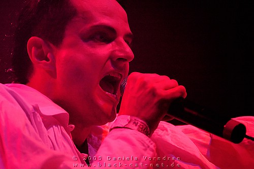 _DSC0940_klein.jpg