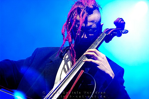 _DSC4771_klein.jpg