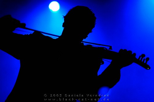 _DSC4772_klein.jpg