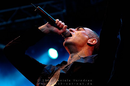 _DSC3316_klein.jpg
