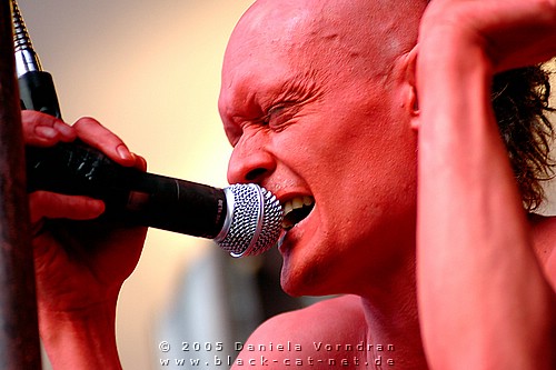 _DSC2580_klein.jpg