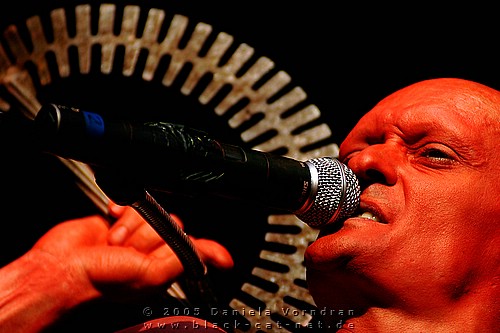 _DSC2635_klein.jpg