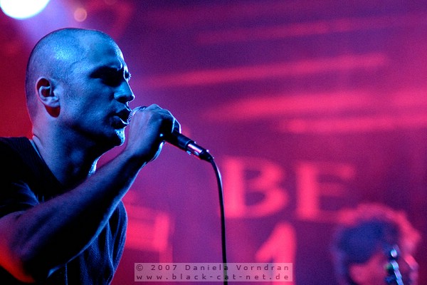 _DSC9815_klein.jpg