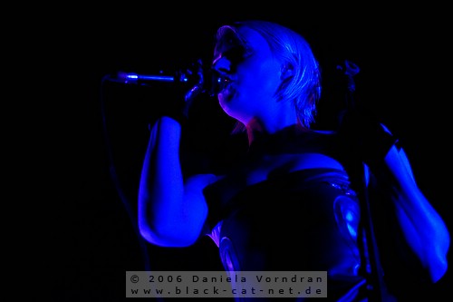 _DSC3249_klein.jpg