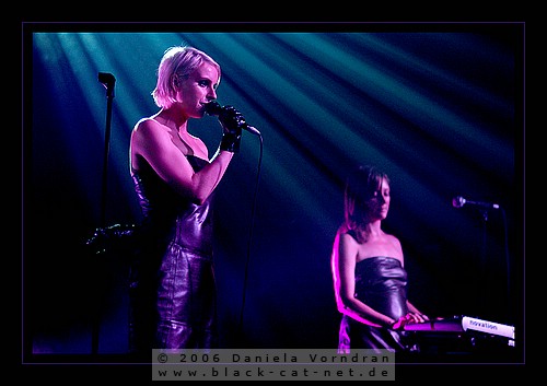_DSC4042_klein.jpg