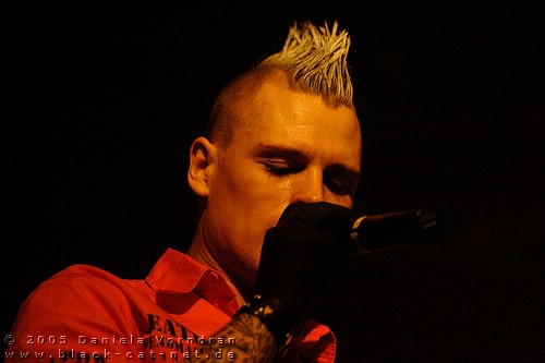 2005-03-10149_klein.jpg