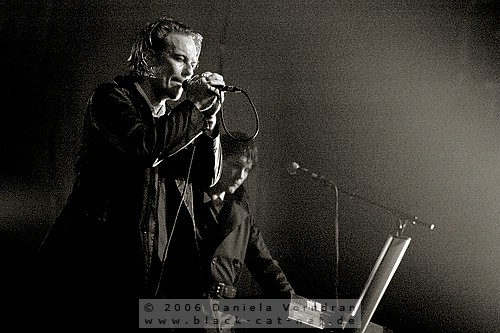 _DSC4346_klein.jpg