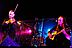_DSC6556_klein.jpg