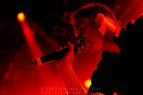_DSC0552_klein.jpg