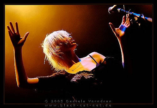_DSC0688_klein.jpg