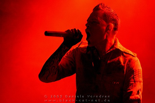 _DSC0883_klein.jpg