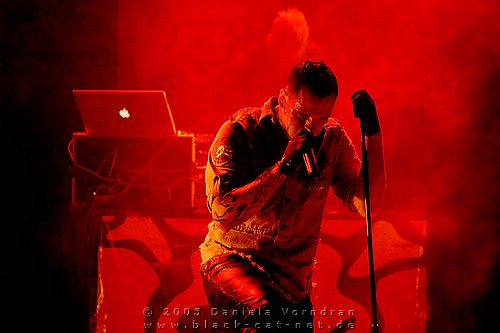 _DSC0961_klein.jpg