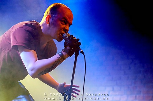 _DSC1127_klein.jpg