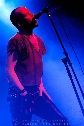 _DSC1239_klein.jpg