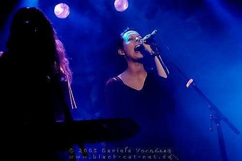 _DSC1246_klein.jpg
