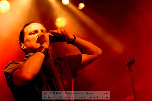 _DSC6209_klein.jpg