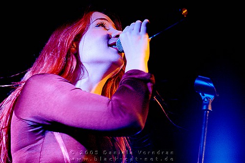 _DSC0139_klein.jpg