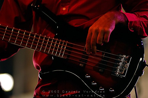 _DSC5173_klein.jpg