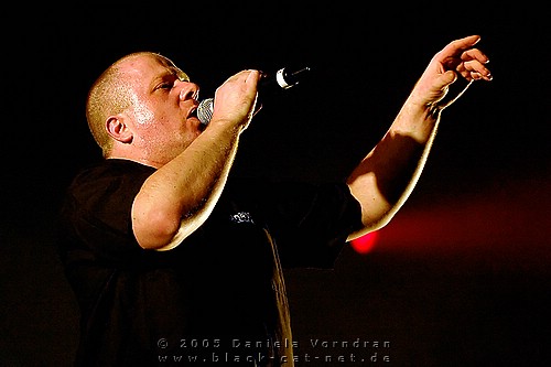 _DSC6020_klein.jpg