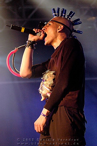 _DSC6287_klein.jpg
