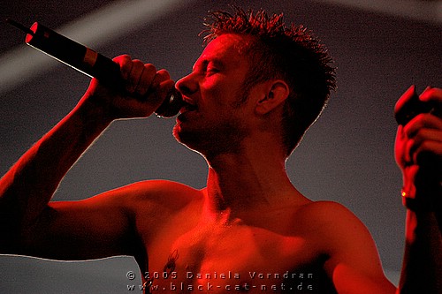 _DSC6457_klein.jpg