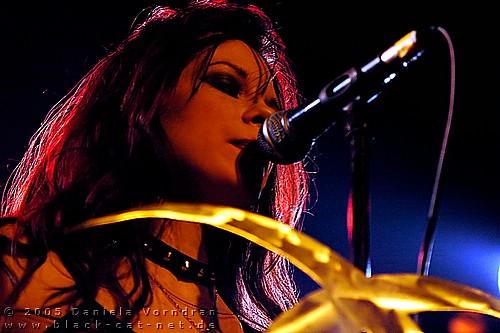 _DSC2368_klein.jpg