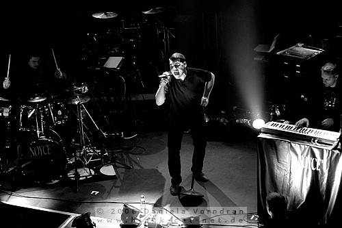 _DSC1570_klein.jpg