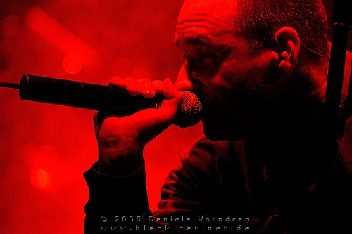 _DSC7401_klein.jpg