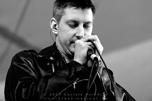 _DSC7992_klein.jpg