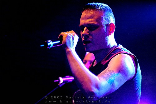 _DSC8520_klein.jpg