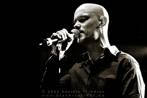 _DSC8712_klein.jpg