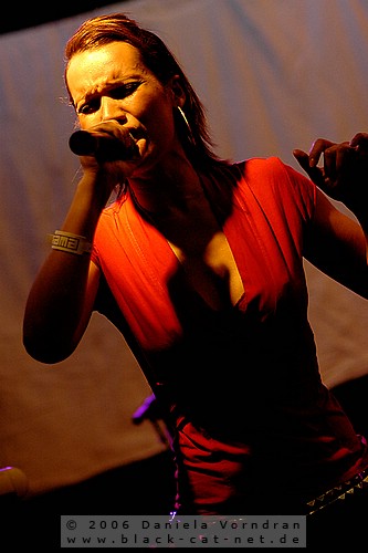 _DSC9202_klein.jpg