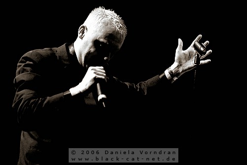 _DSC9221_klein.jpg