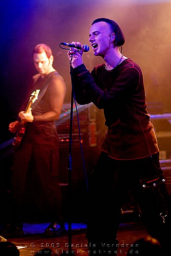_DSC8517_klein.jpg