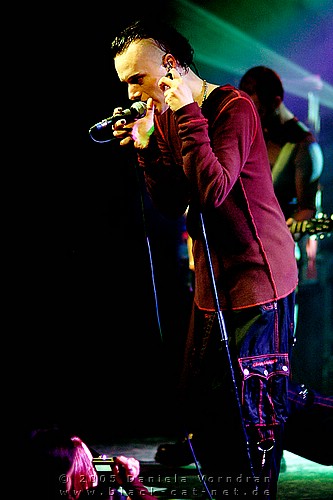 _DSC8571_klein.jpg
