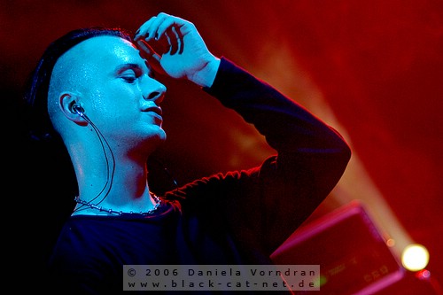 _DSC6456_klein.jpg